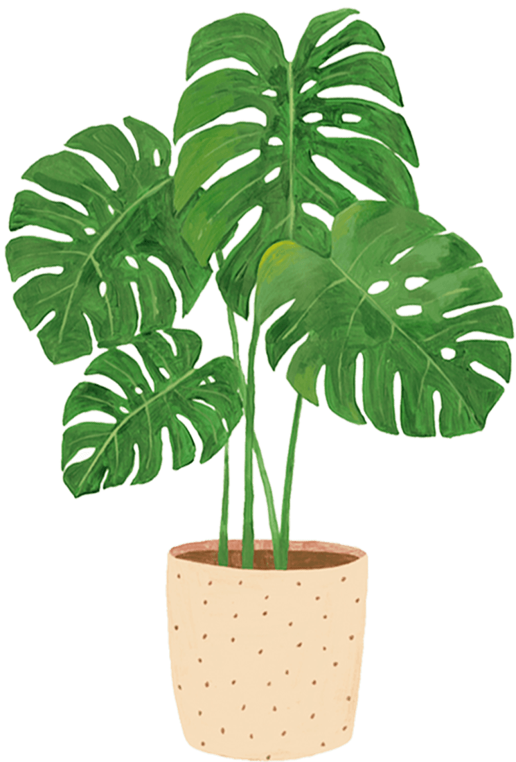 Drawing of Golden Pothos